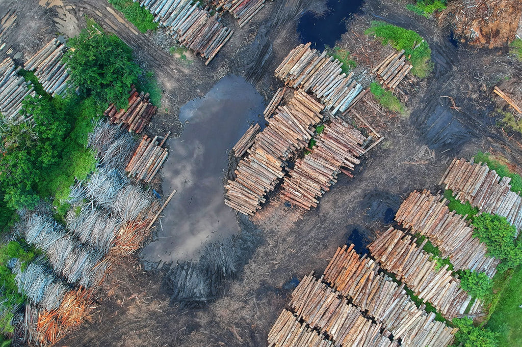 ¡Amazonicare se preocupa por el Amazonas y lucha contra la contaminación!